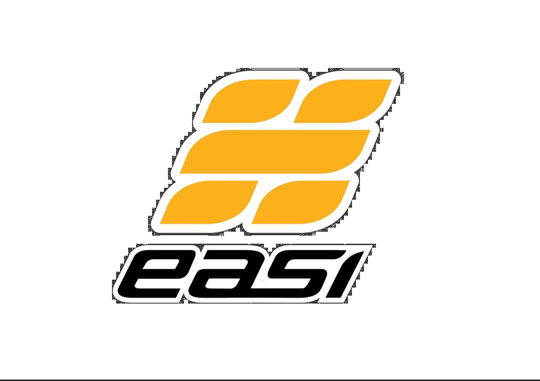 Easi Logo